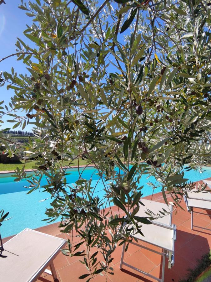 Agriturismo Sommassa Greve in Chianti Dış mekan fotoğraf