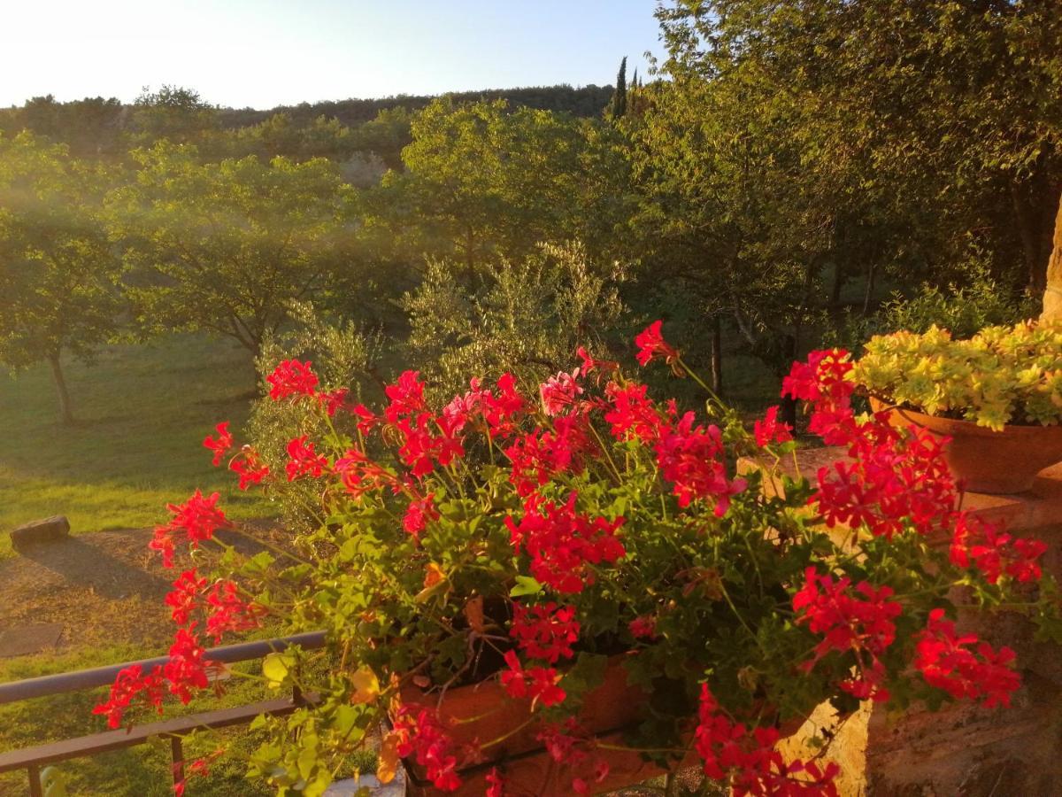 Agriturismo Sommassa Greve in Chianti Dış mekan fotoğraf